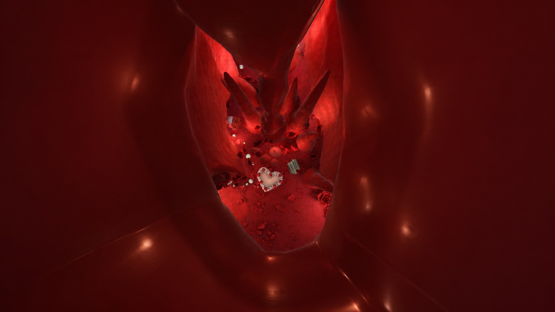Looking down into the heart