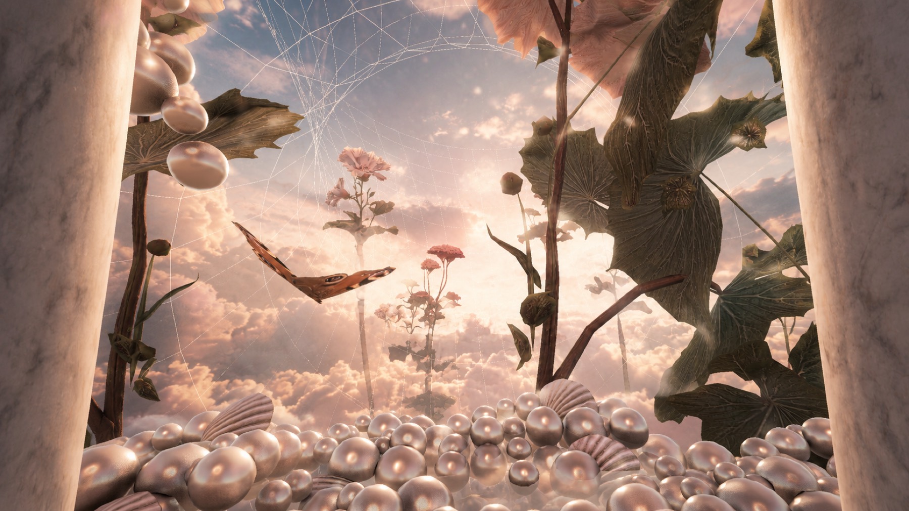 The butterfly garden above the clouds